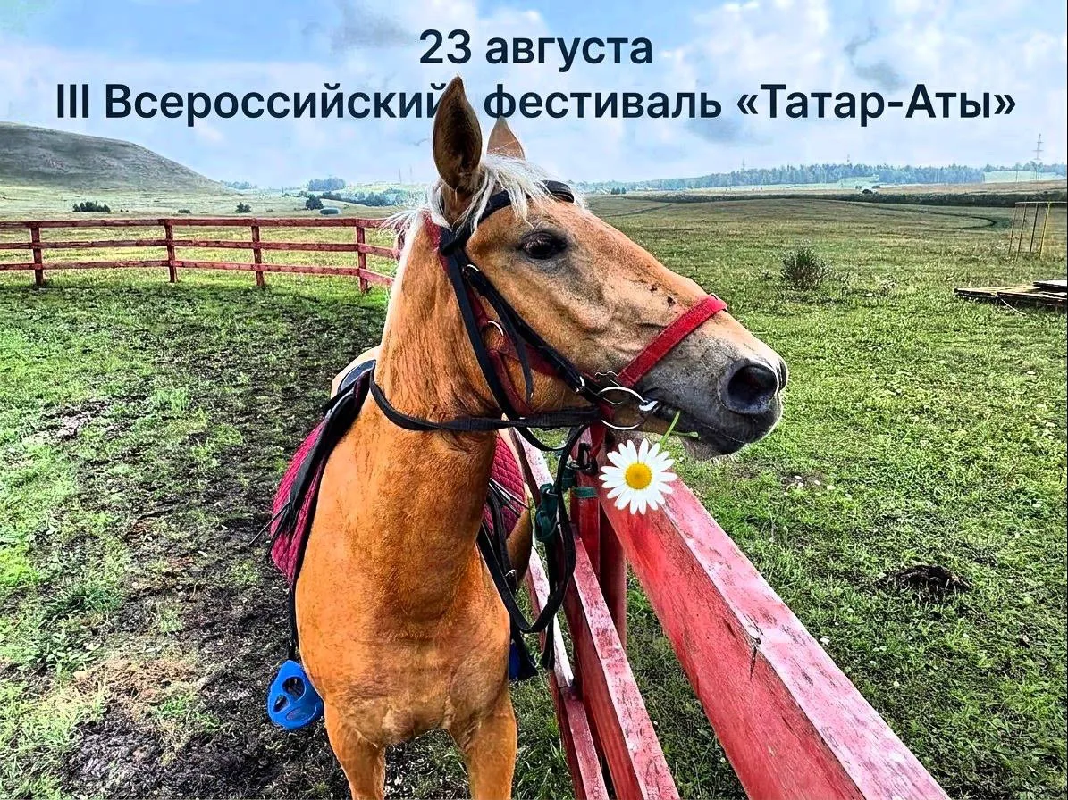Добрый вечер, уважаемые лениногорцы. Подвожу краткие итоги работы «Ромашки» 🌼 за недел...