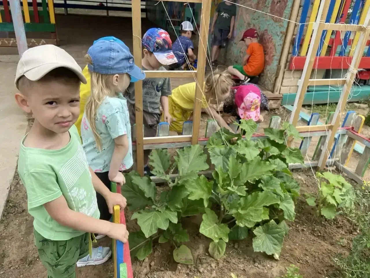 🌿 Ура! Наш первый урожай!🌿

В рамках года дошкольного образования в нашем детском саду прошли тема