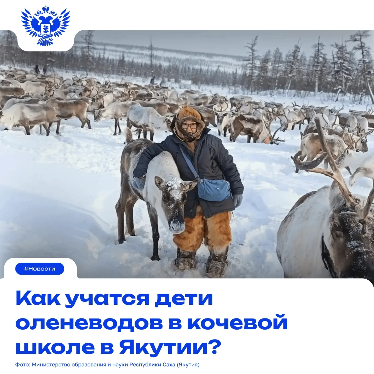 🦌 Школьный автобус? Нет, оленья упряжка!