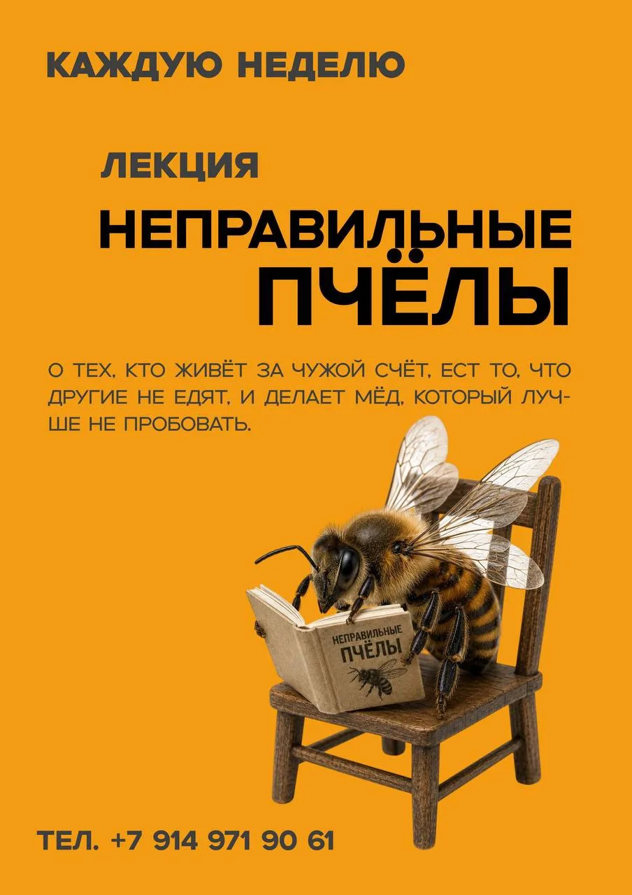 🐝 РАСПИСАНИЕ МЕРОПРИЯТИЙ в Доме приморского мёда: