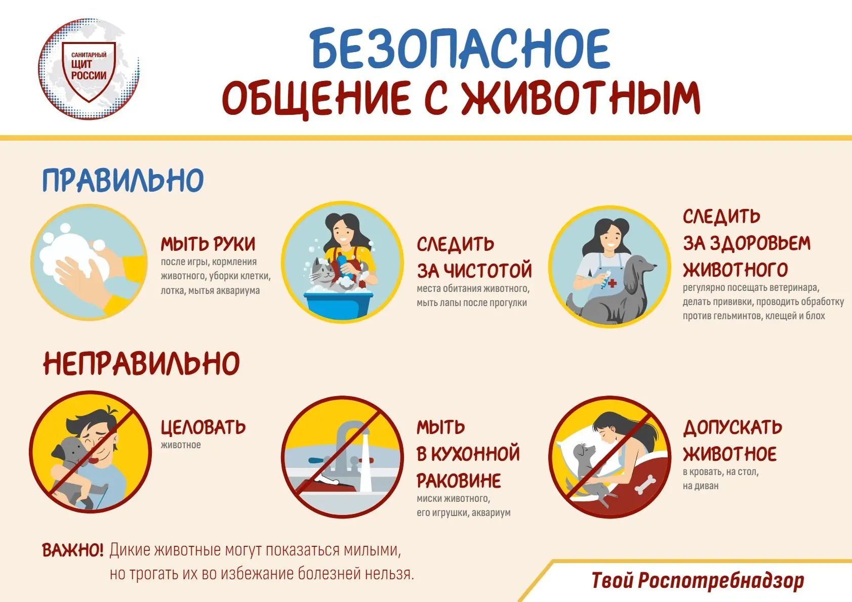 В рамках реализации мероприятий коммуникационной стратегии «Санпросвет» федерального проекта «Санита