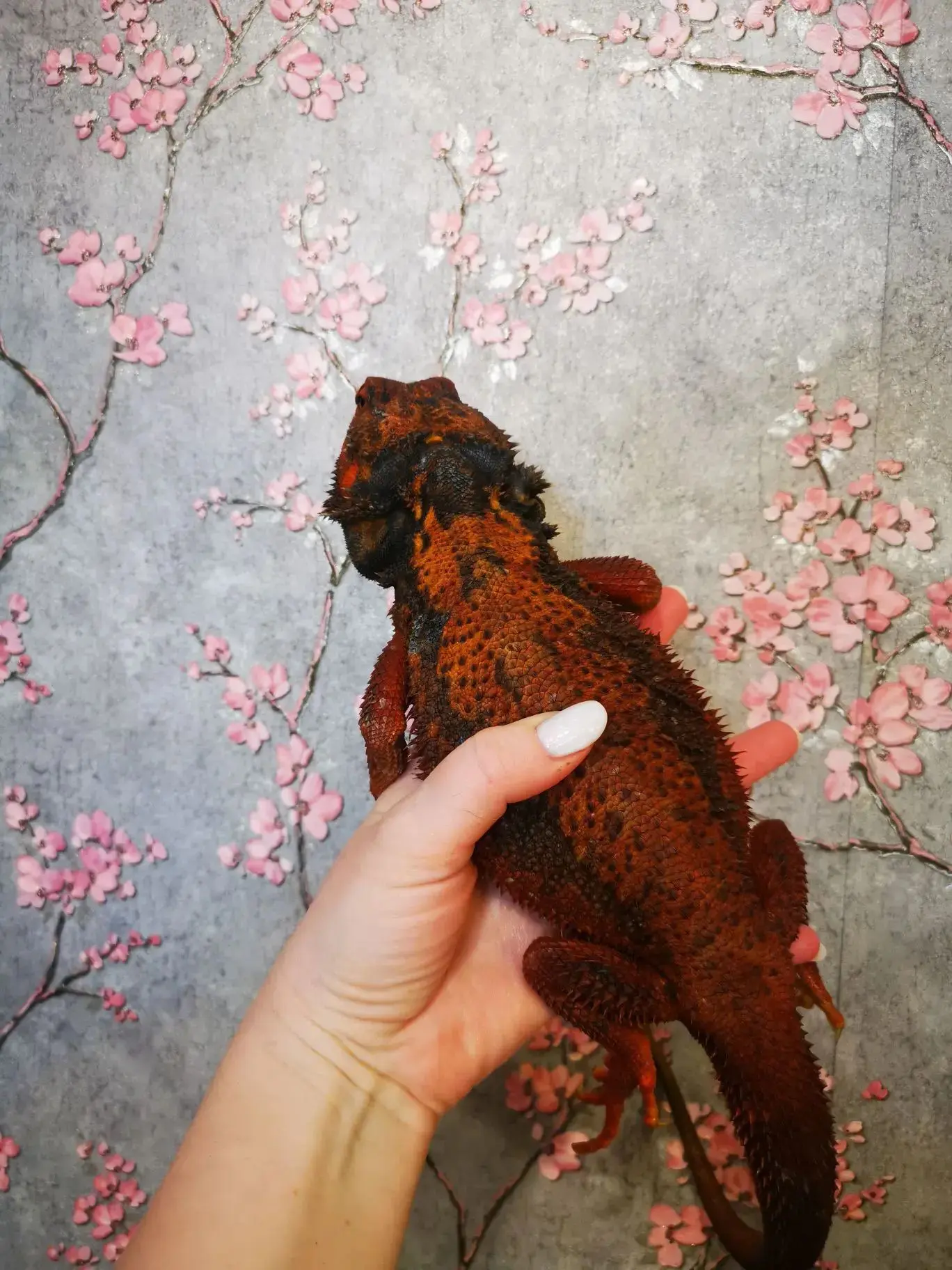 Итак... Монстры! 🦎