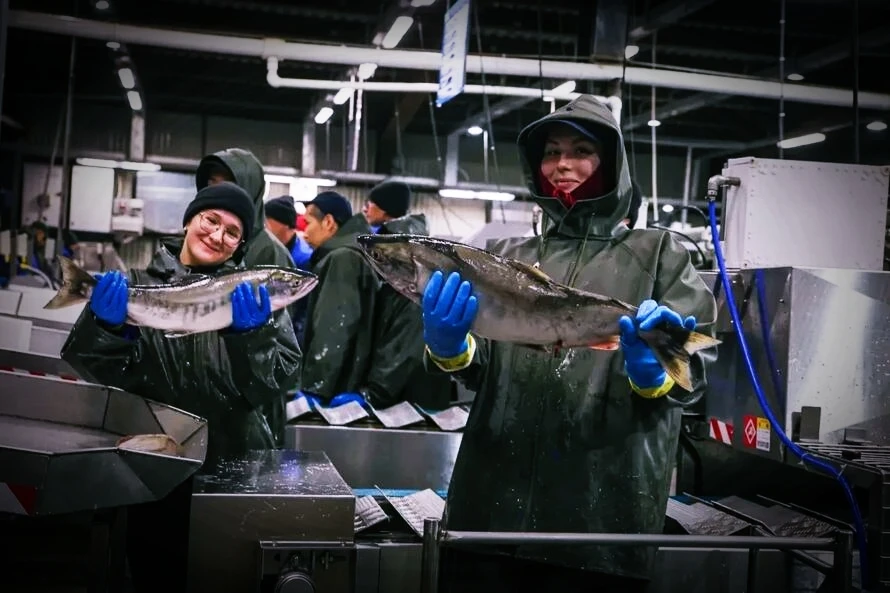 🐟 Более 5 тыс. студентов из 67 регионов России работали в этом сезоне на путине