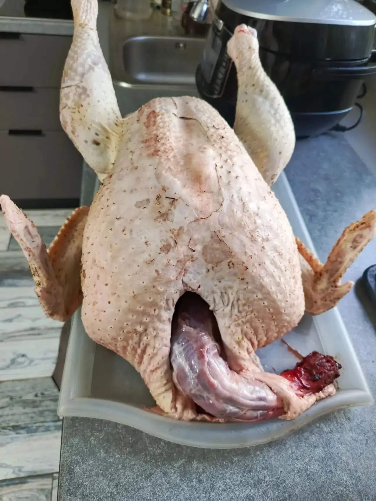 Продам свежую тушку домашней индейки. 600₽ за кг. Вес 12.3 кг. Саратовская. Можно заказ...