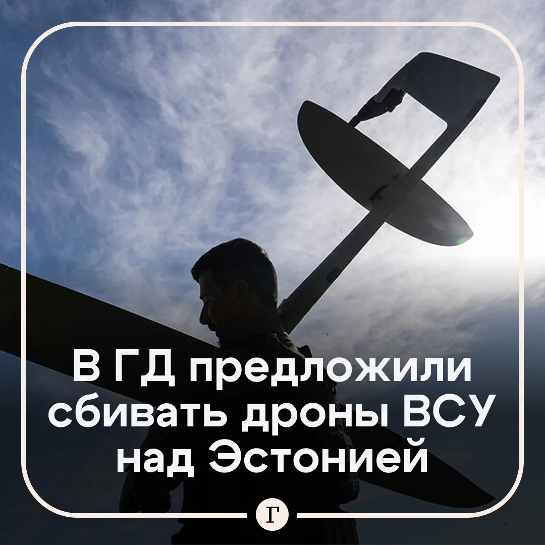 Дроны ВСУ должны падать на головы жителей Эстонии, заявил депутат Колесник.