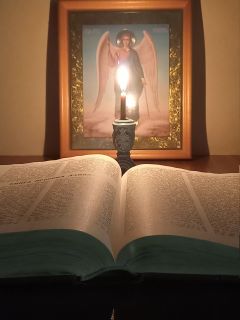 Мои выписки из книг