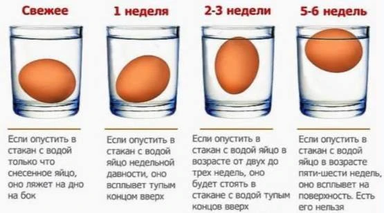 В сегодня лет узнала полезный лайфхак на каждый день. Проверить свежесть яйца — дело двух секунд. Во