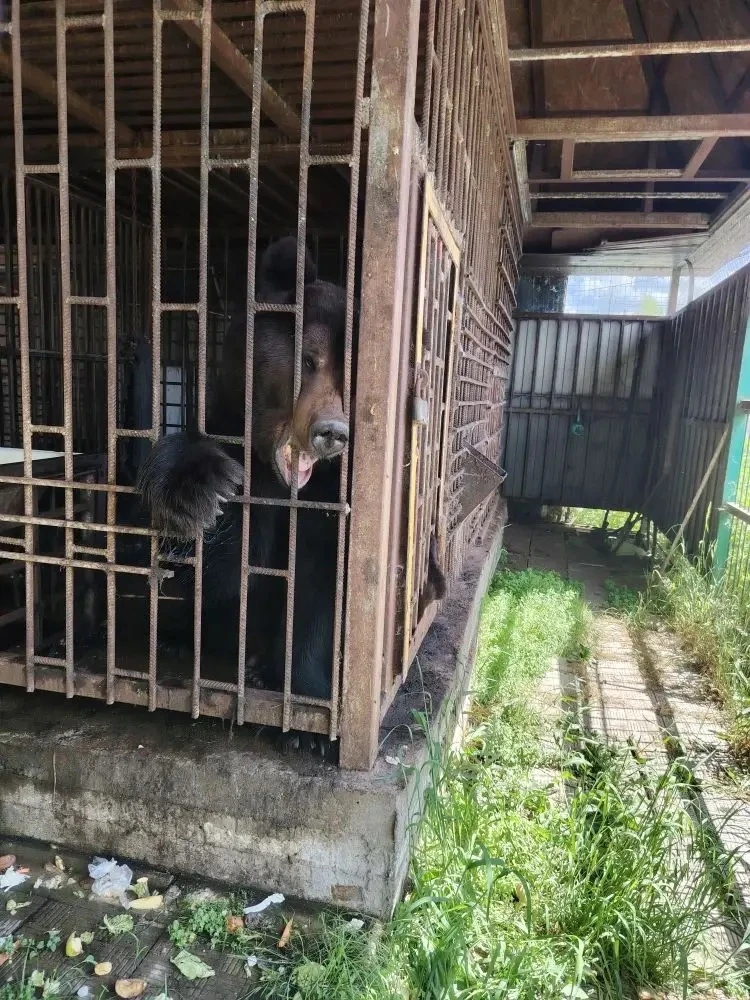 Сегодняшний день стал настоящим праздником для ребят из пришкольного лагеря — мы побывали в зоопарке