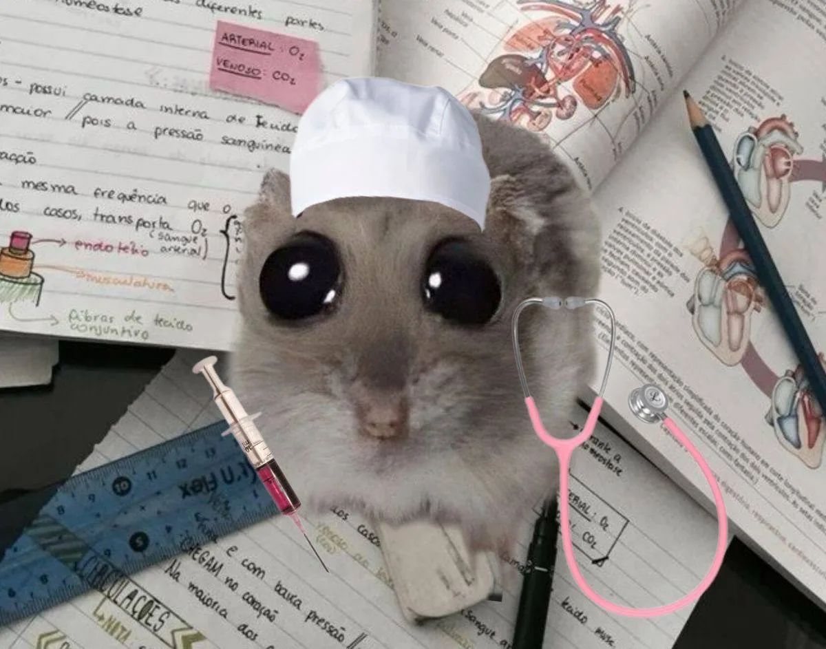 🧠 Черепно-мозговые нервы 📂 Черепно-мозговые нервы — это 12 пар нервов, которые выходят прямо из голо