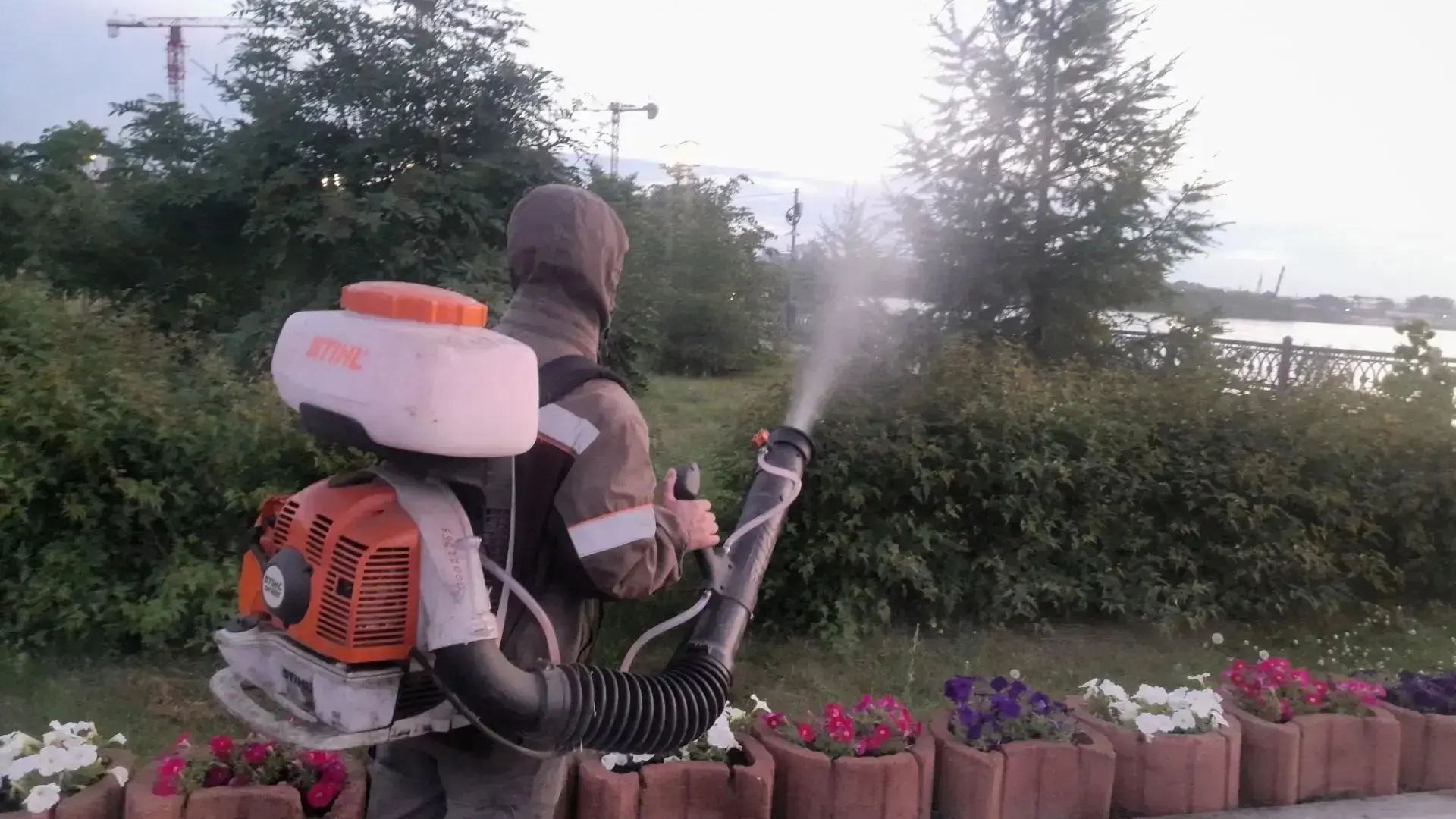 🌳 Ночью в Иркутске идет активная борьба с вредителями: деревья и кустарники обрабатыва...