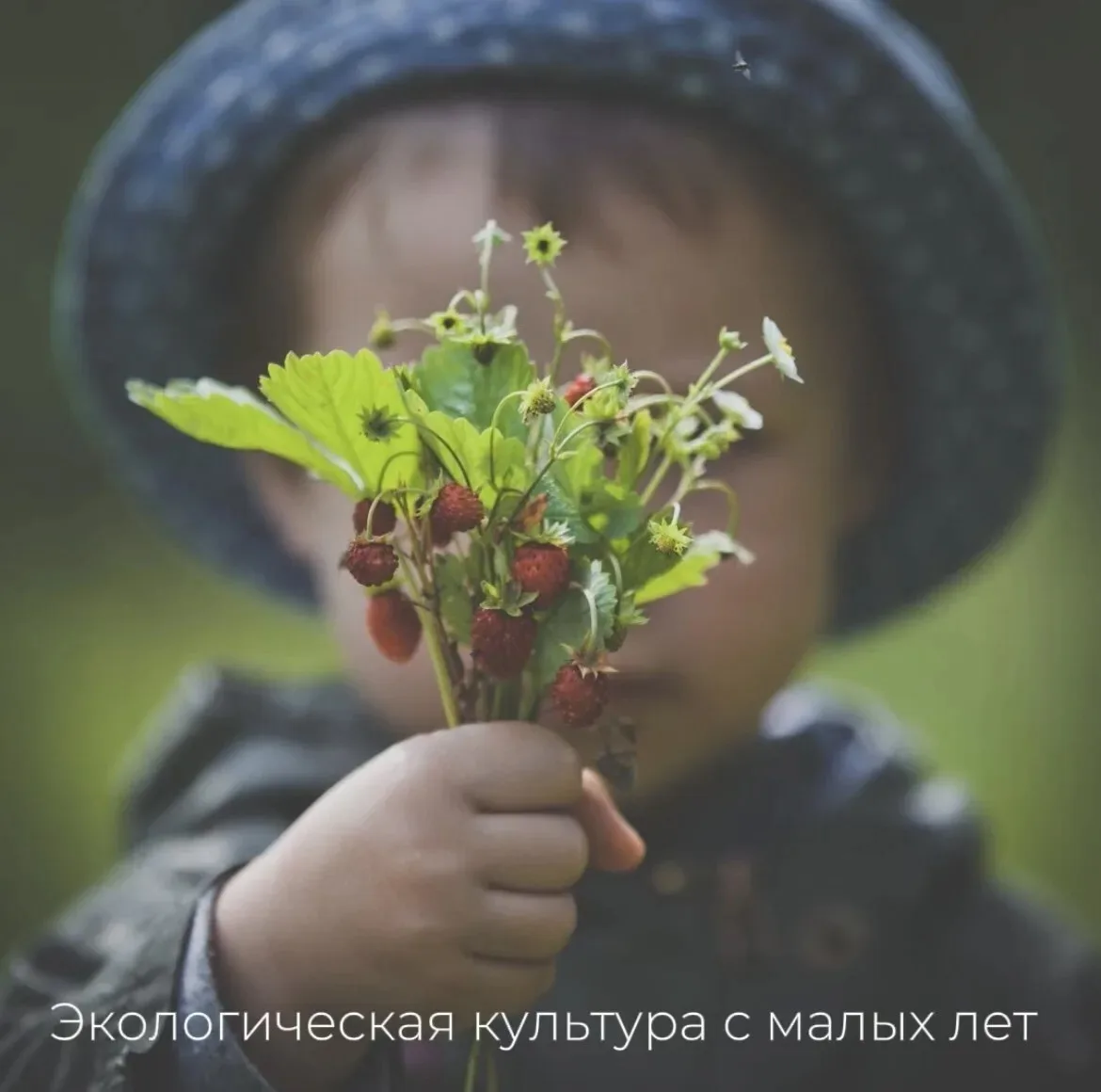 🌿 Любовь к природе: воспитываем с детства