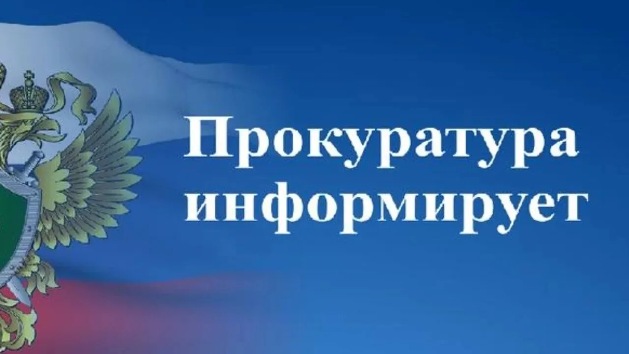 🛡️ **Безопасное окно — забота с пелёнок!**