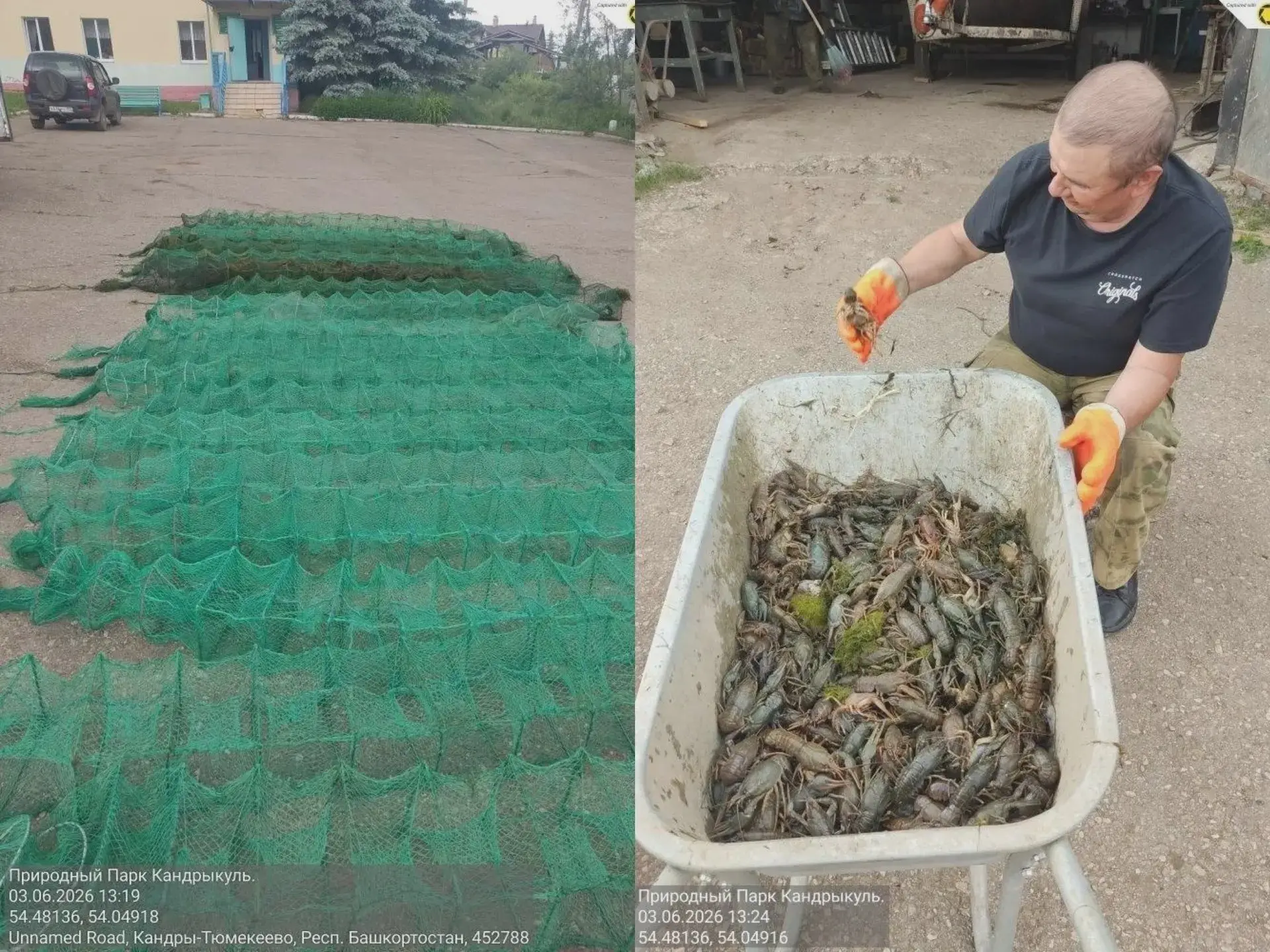 🦞 В Башкирии повысили таксу за незаконно добытого рака