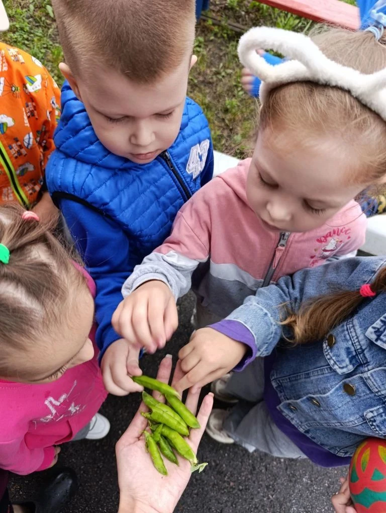 🌿 День юного натуралиста в группе №9

Шаг за шагом
День за днём,
Мы природу узнаем,
Как беречь её, 