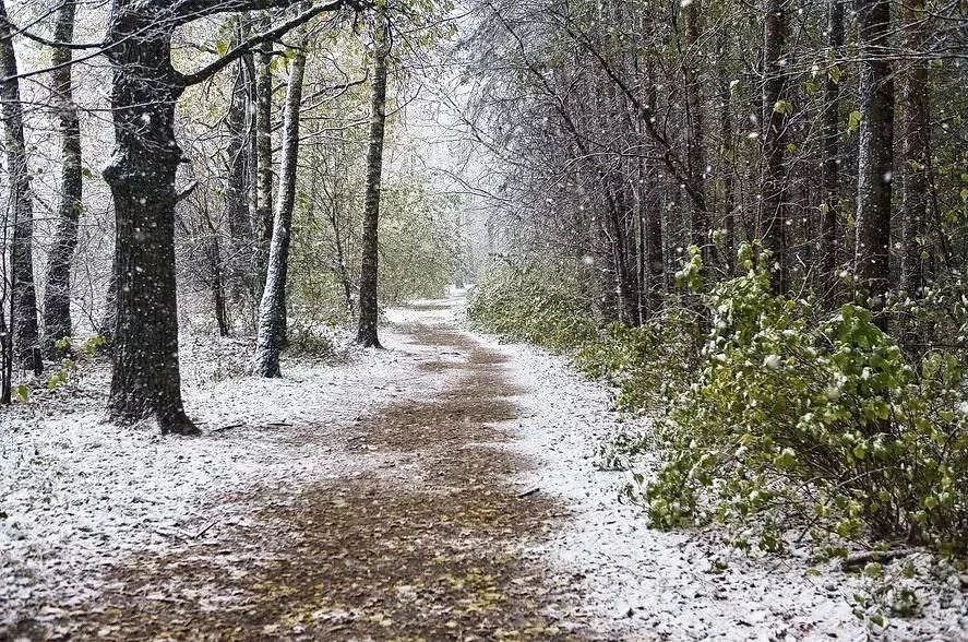 ❄️В Татарстане в понедельник прогнозируют мокрый снег, минусовую температуру и сильный ...