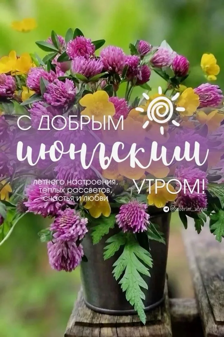 Доброе утро!🌺