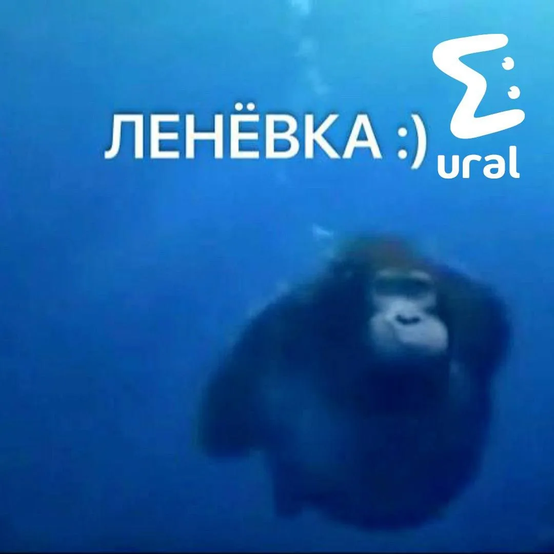 В Свердловской области купаться без риска можно только на Ленёвском водохранилище
 
Роспотребнадзор 