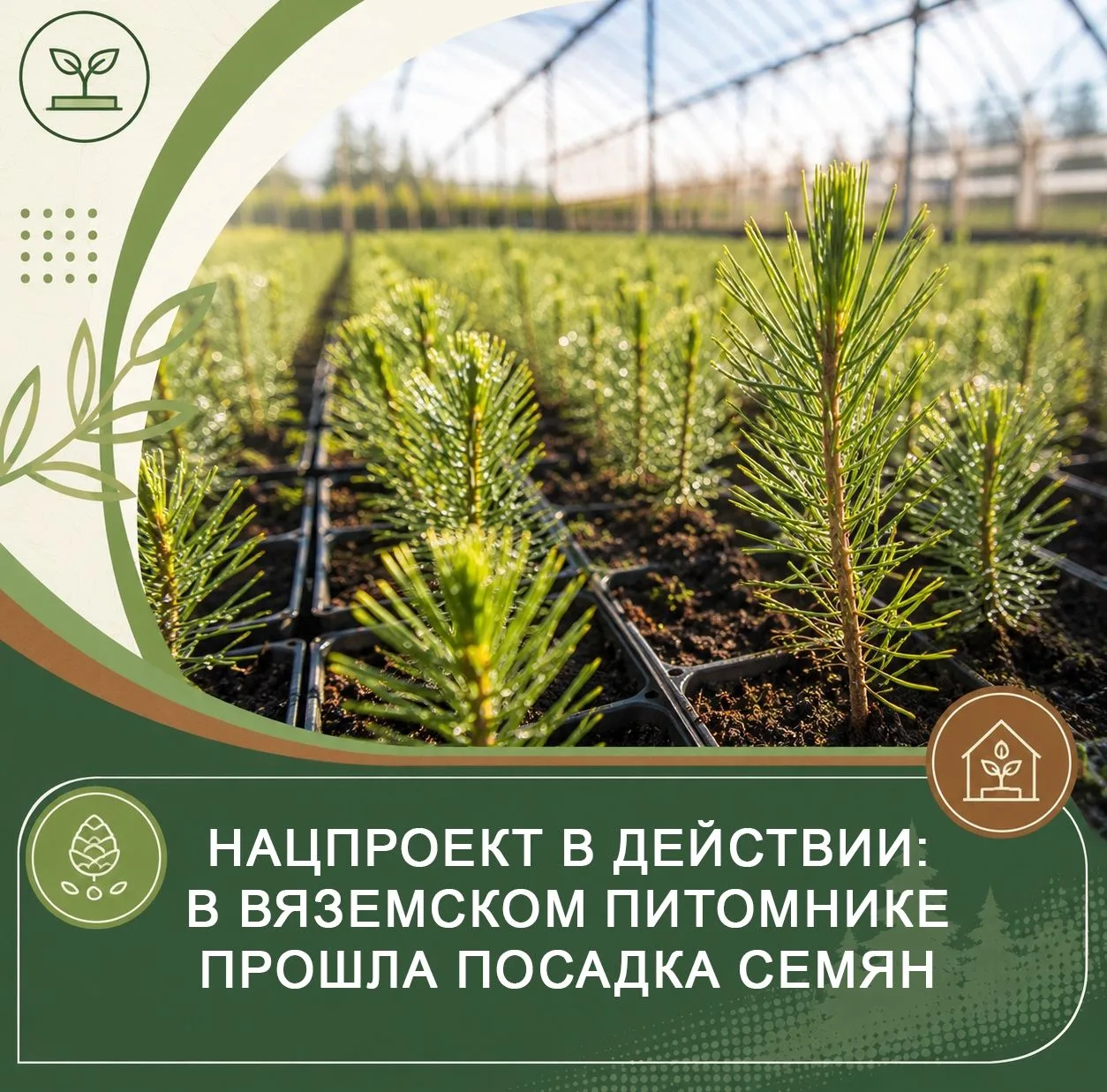 🌲В лесопитомнике Вяземского филиала ОГБУ «Лесопожарная служба Смоленской области» прош...