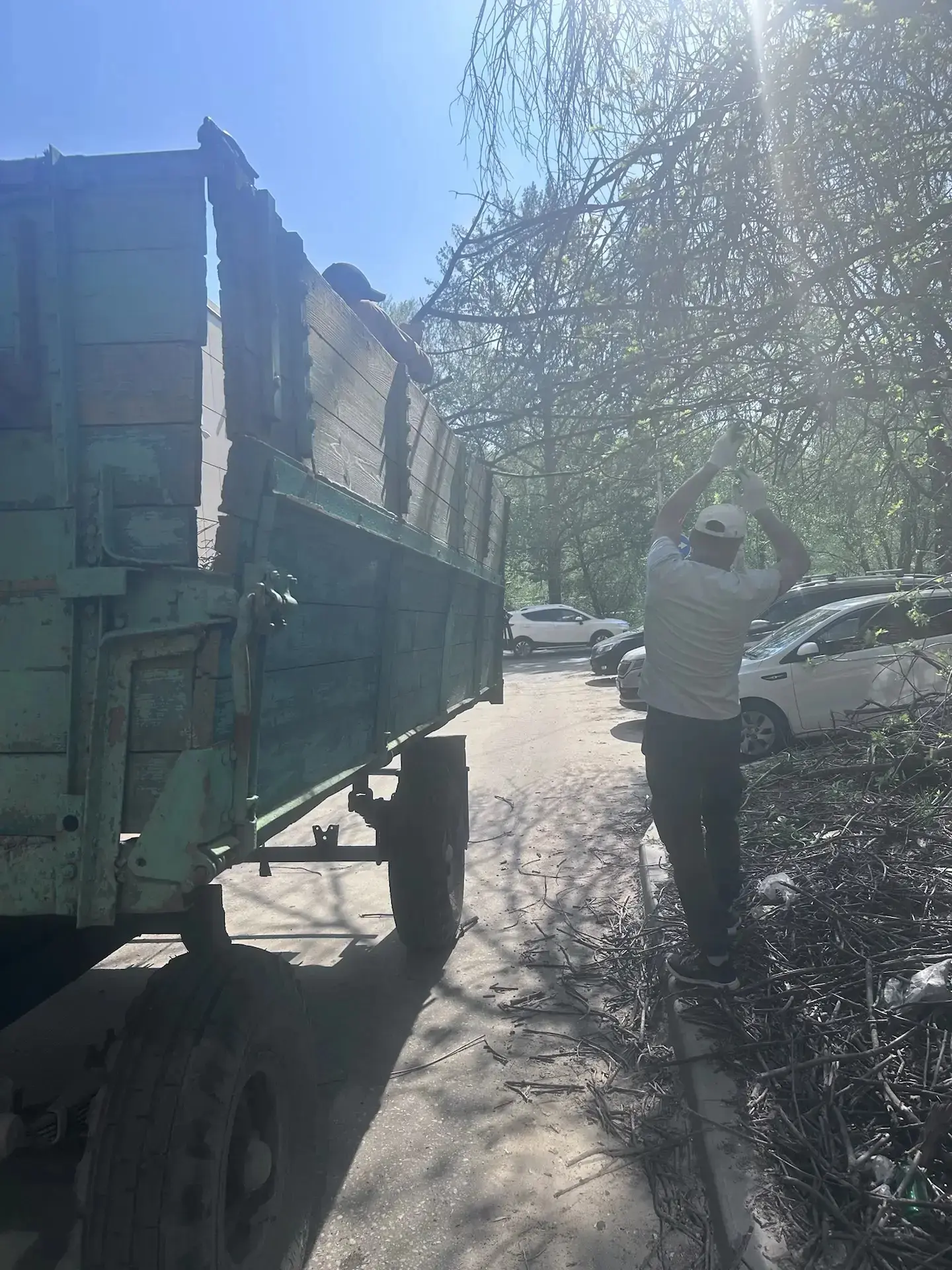 ✅Удаление сухих и аварийных веток
