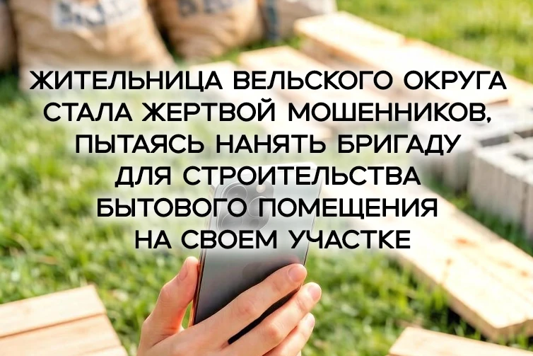 📝 В полицию Вельского округа обратилась 58-летняя местная жительница. Женщина рассказа...