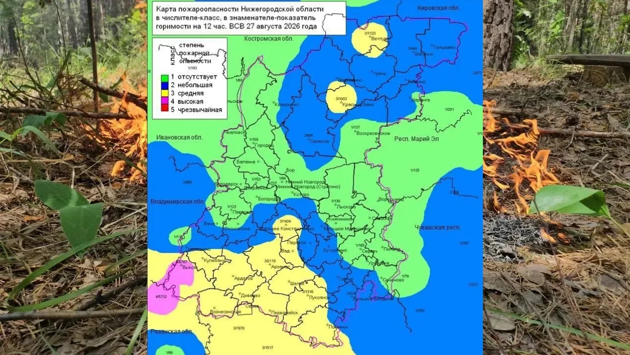 🔥 По данным регионального Минлесхоза на территории области в лесах установился 1-2, ме...