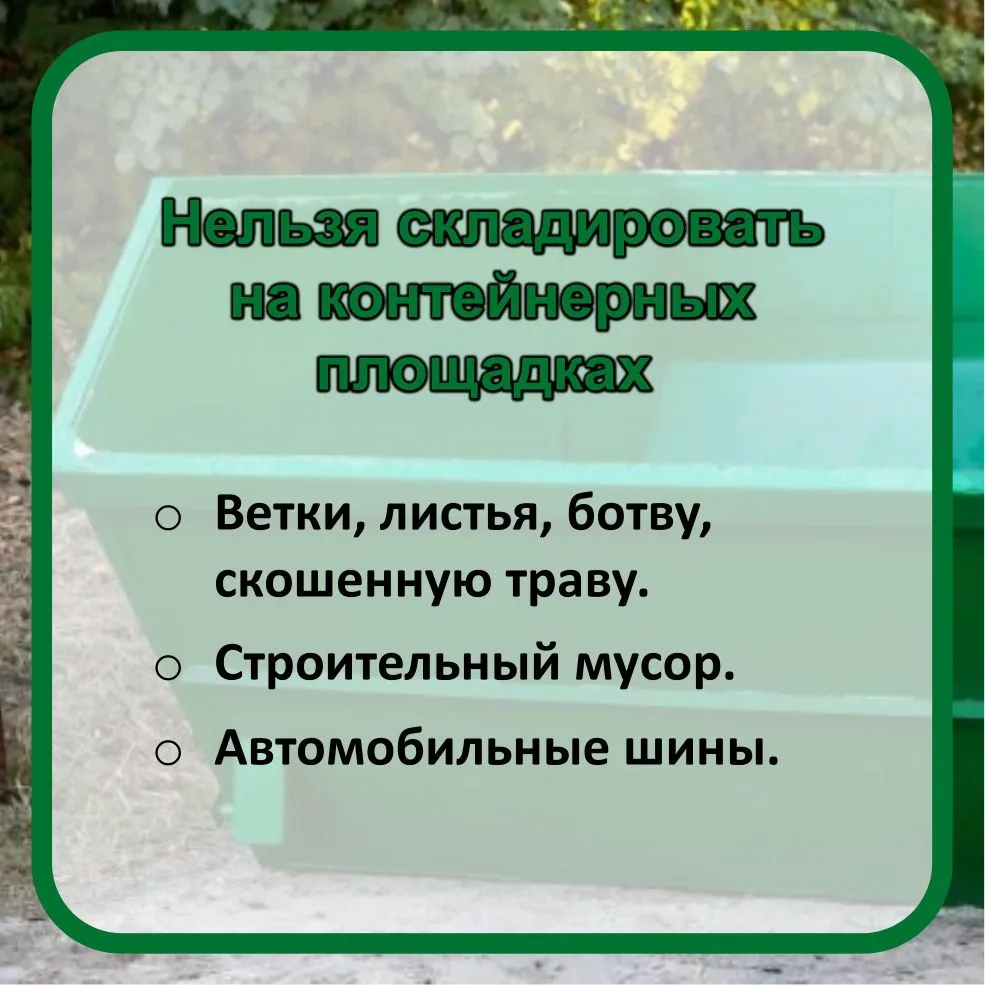 🚮 ❌ Ветки, листья и шины — нельзя кидать в обычные баки!