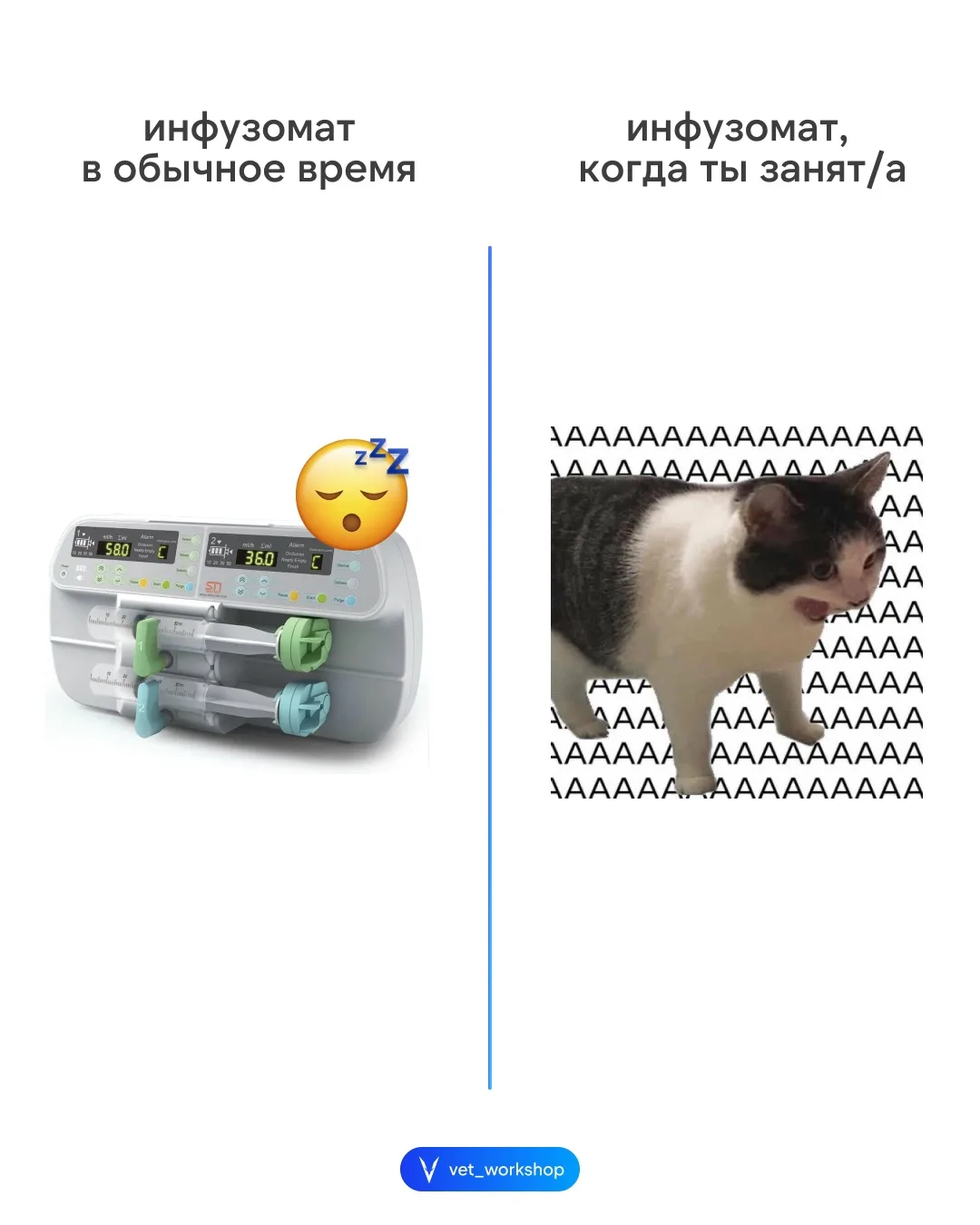 Коротко о буднях в ветеринарной клинике 👀 #приколдесvet_w

Ждем ваши ожидания / реальность в коммен