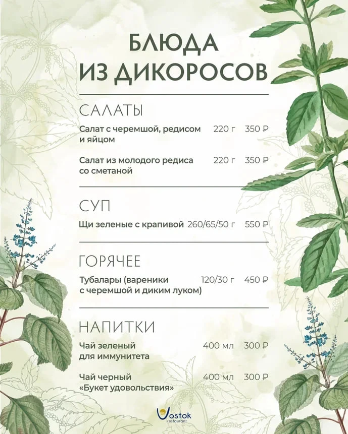 В ресторане Vostok начался сезон дикоросов🌿

Первая весенняя зелень уже в меню: наши знаменитые Щи 