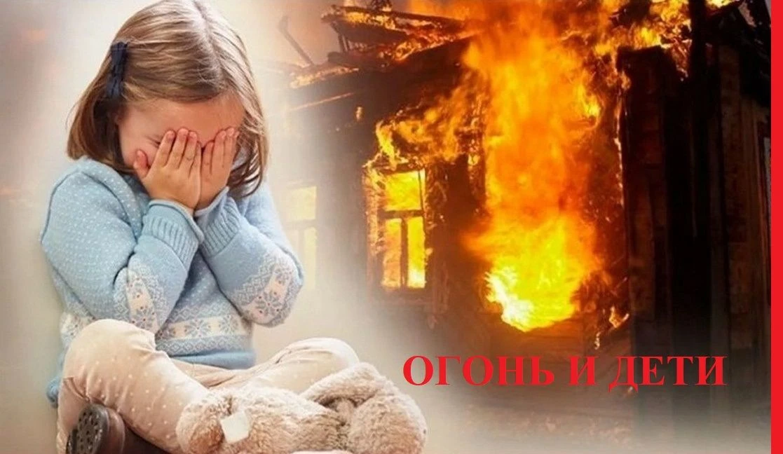На территории Амурской области с 01 октября по 31 октября 2026 года проводится профилак...