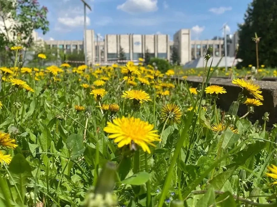 📸 Фотовыставка «МГИМО сегодня и завтра»