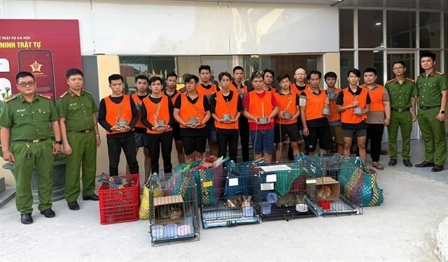 🇻🇳 Во Вьетнаме по подозрению в краже 2,7 тыс. кошек для перепродажи на мясо задержали...