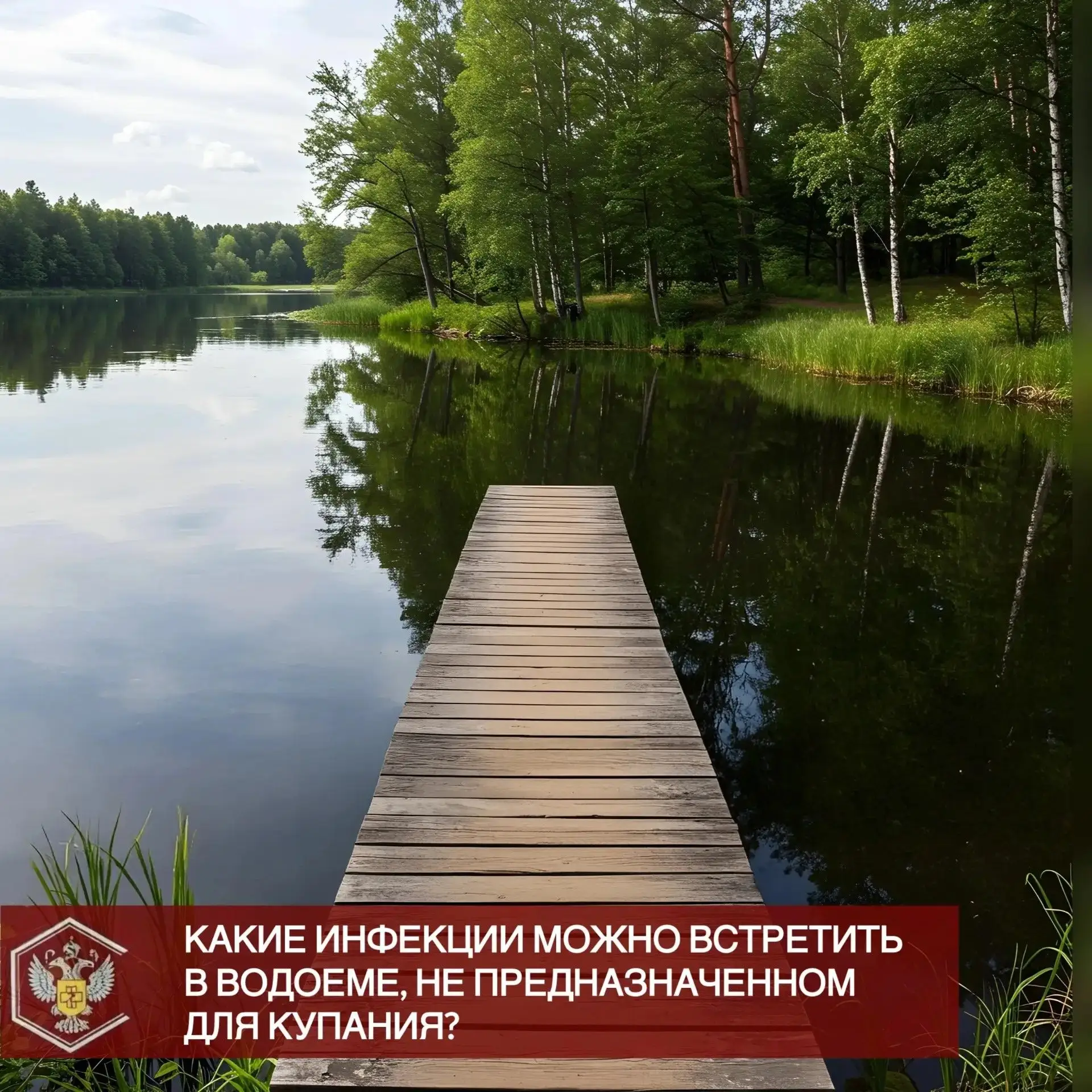 💦 Плавание — одно из самых популярных и полезных летних развлечений. Но важно помнить, что не кажды