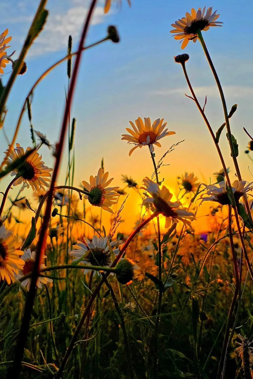 🌅 Закат и природа в Удмуртии

Фото: Мария Жигалова

Ижевск с огоньком | Подписаться