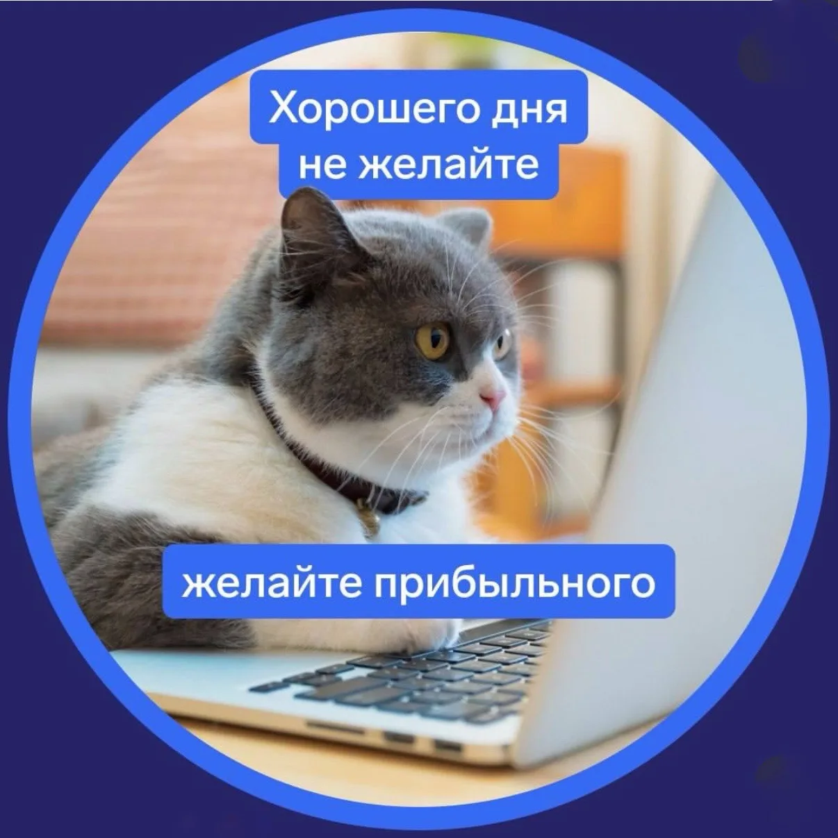 Поправочка: желаем прибыльного дня!💰😎