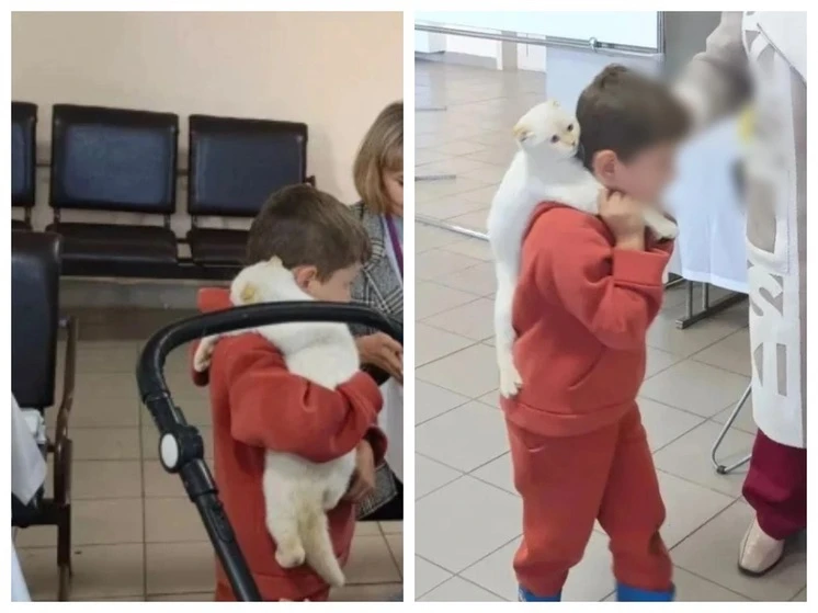🐱 Кот пришел на выборы вместе с хозяевами в Алтайском крае