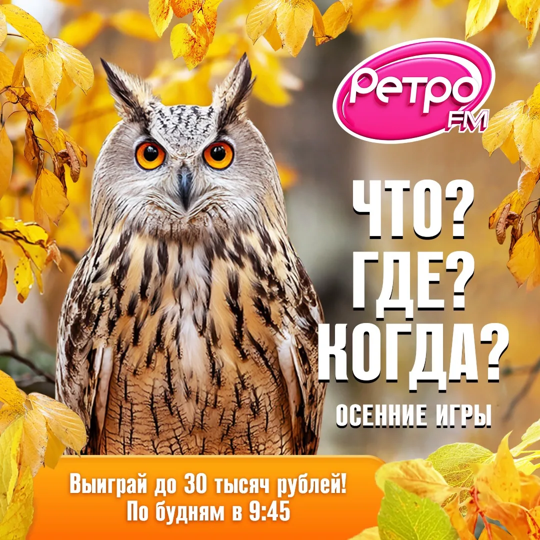 В понедельник продолжатся осенние игры в интеллектуальном радиоклубе «Что? Где? Когда?» 🦉