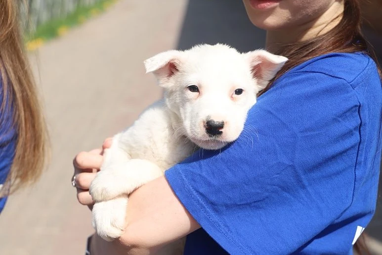 Забота о пушистых лапках 🐾

В Тульской области прошла наша благотворительная акция «Добро лапам». 
