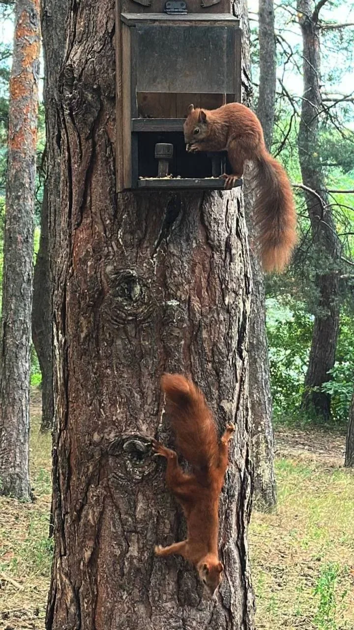 Красотки из Пикник-парка😍
