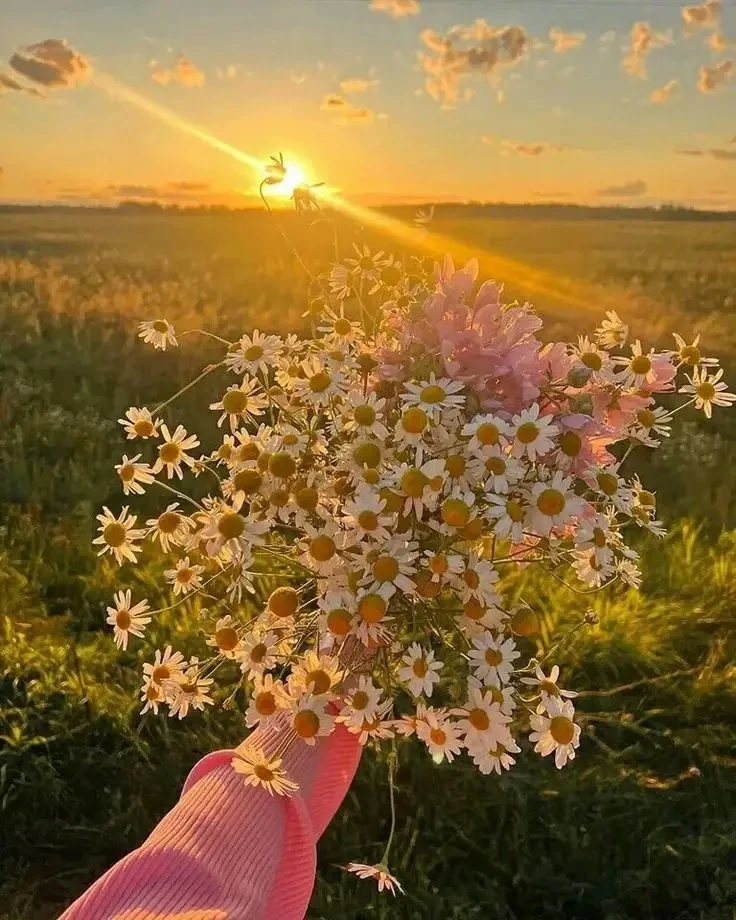 👉 Эстетик авы