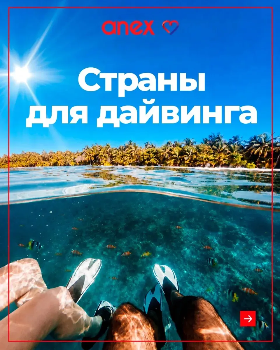 Кто-то выбирает отель по звёздам, а кто-то — по рифу. 

Мы собрали лучшие дайв-направления в карто