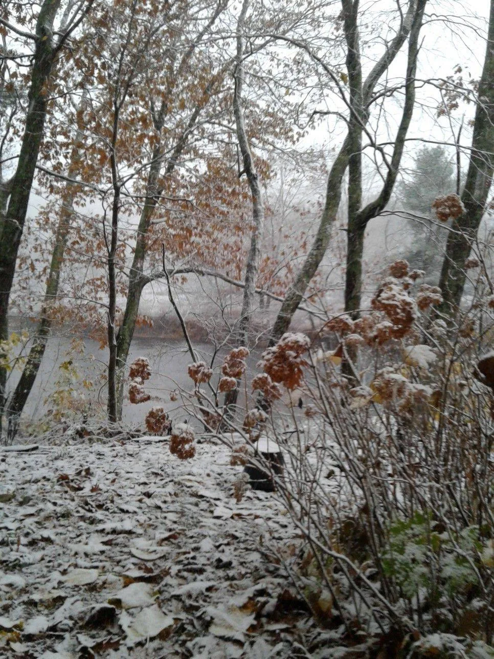 Самолет из Южно-Сахалинска ушел в Ноглики из-за непогоды