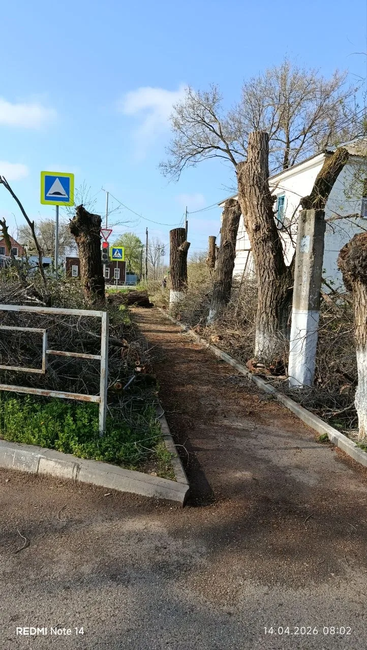 Ох, как же нужны официальные комментарии администрации. 🤔