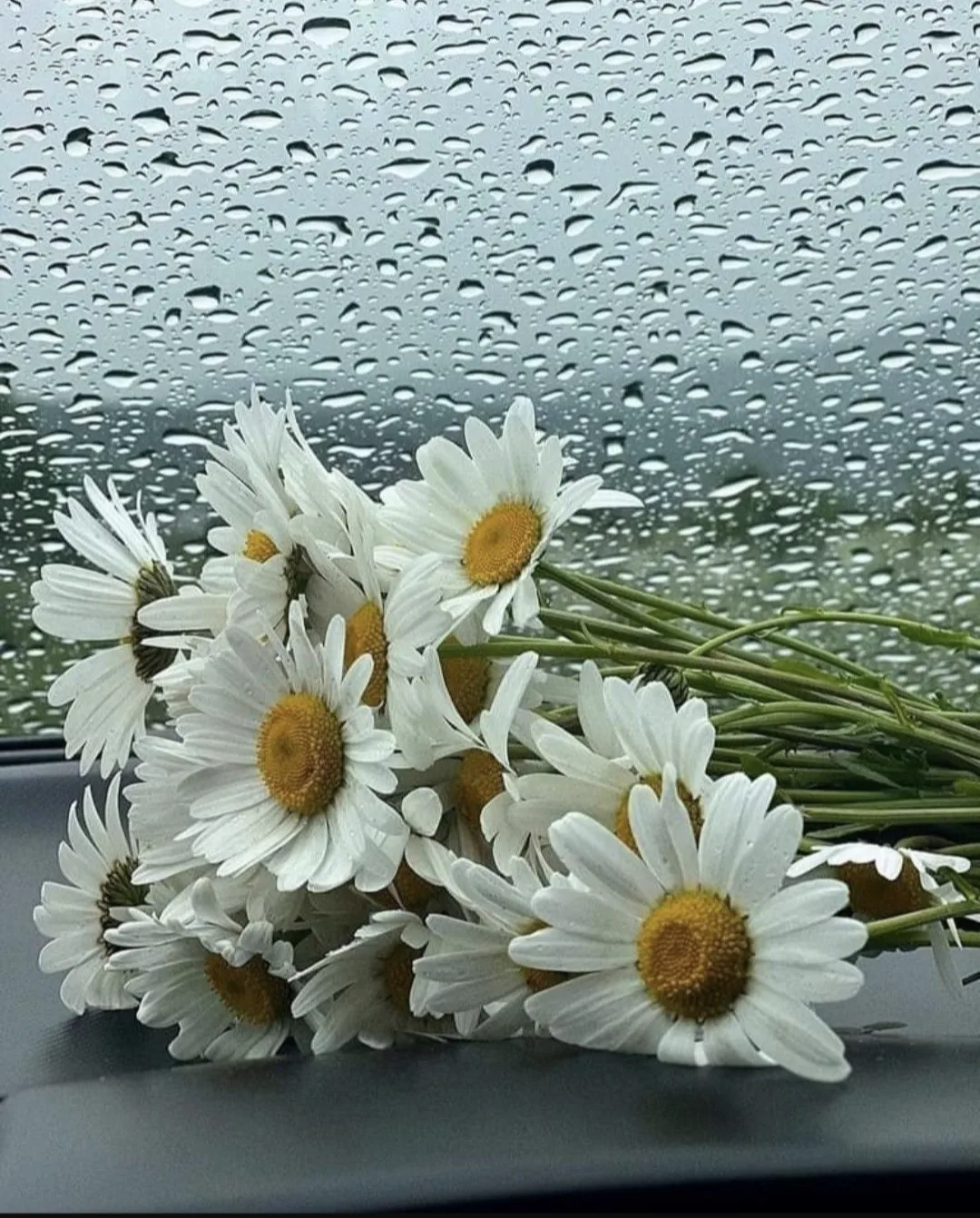 🌻 28 июль
😇 Теләкләр теләү көне
✅ Бөтендөнья гепатитка каршы көрәш көне
✅ Россиядә PR белгечләр кө