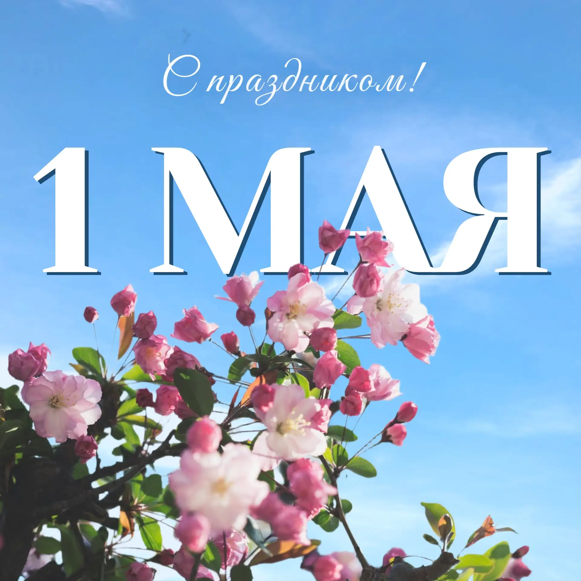С Праздником Весны и Труда, дорогие снежинцы!