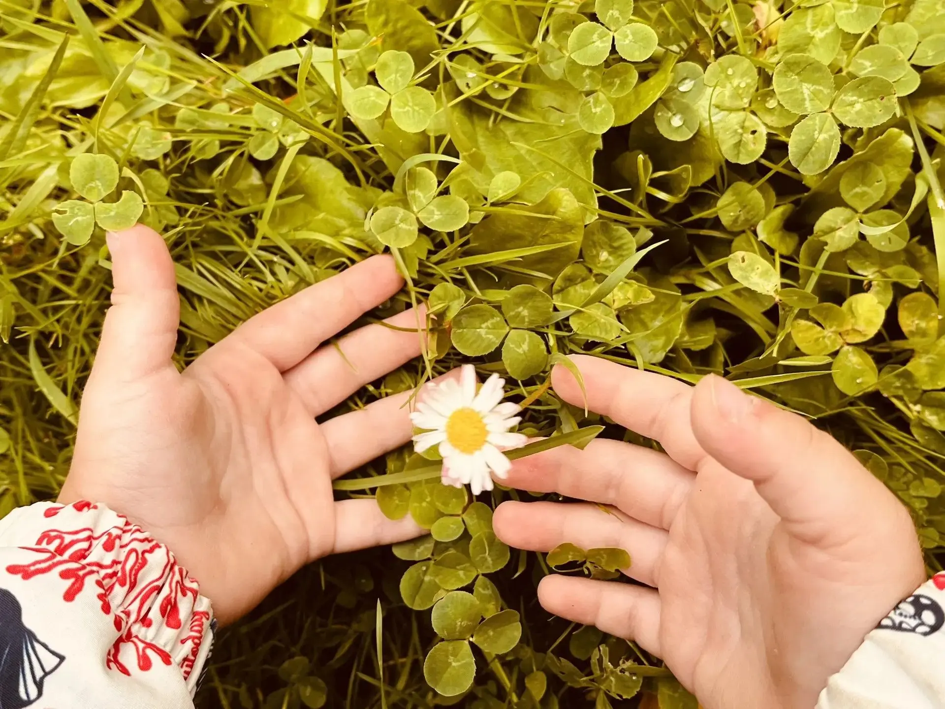 🌟 В гостях у Зеленой Аптеки! 🌿
👉Сегодня в нашей группе раннего возраста прошло увлекательное и по