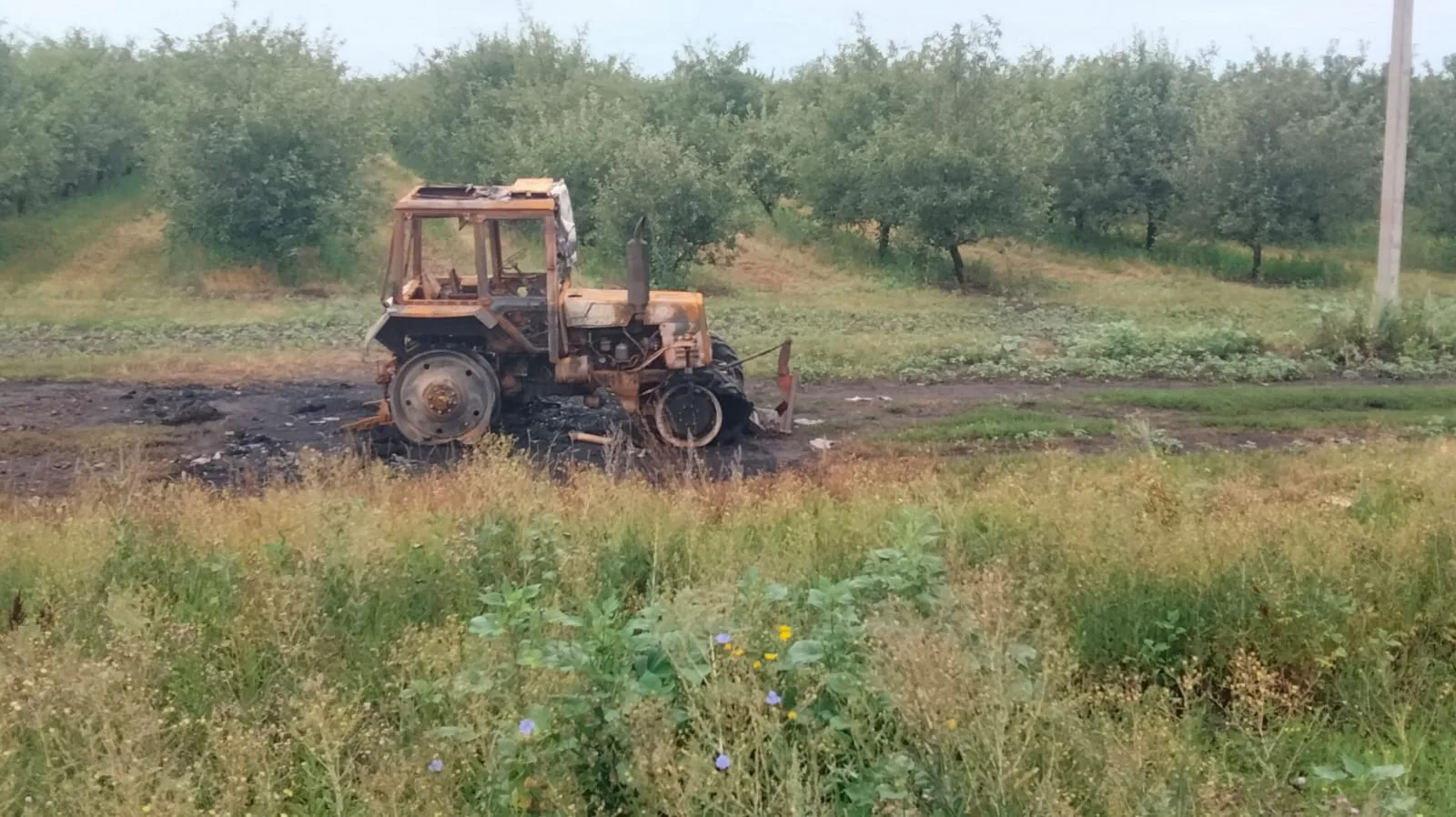 Сады придонья в районе села Терновое, сгорел трактор МТЗ 82.