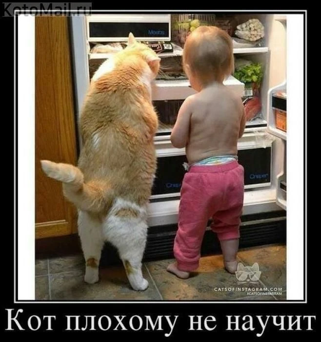 Юмор | Приколы | Мемы 👇🏻