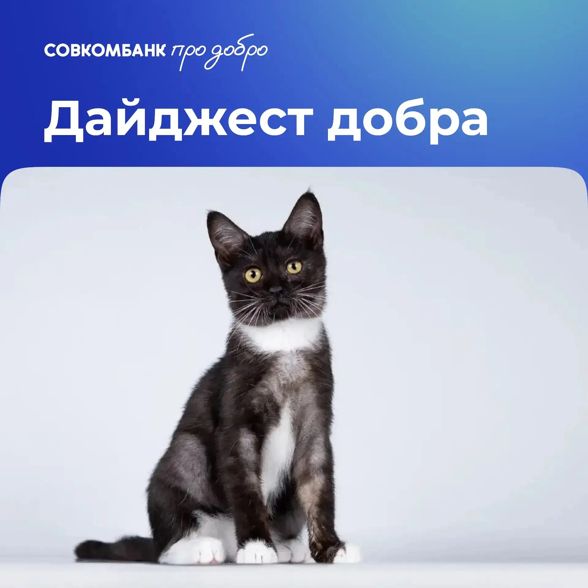 ❤️Дайджест добра