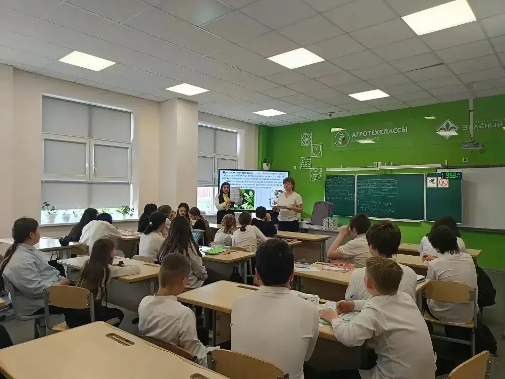 🍏 Здоровье — наш главный ресурс!  В нашей школе прошел необычный урок, посвященный Всемирному дню зд