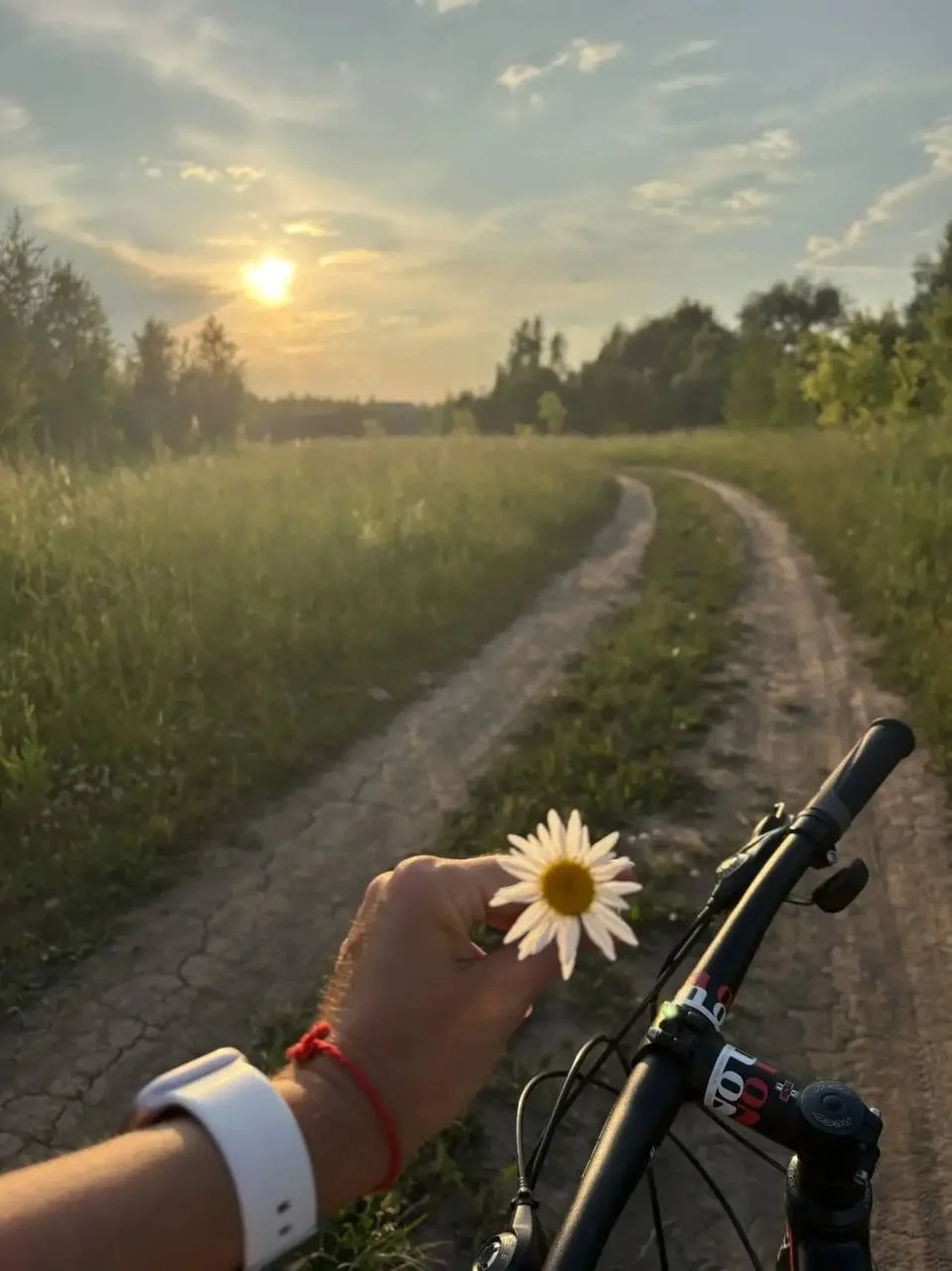 Девушки,этот лайфхак для вас ♥️

Поменяла на своем велосипеде сидение на «женское».Хотя в комментари